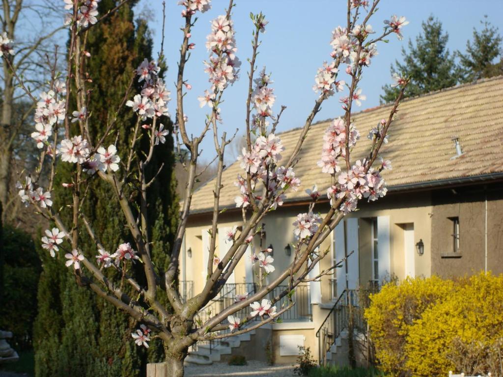 Апартаменты Les Communs Du Manoir Экюли Экстерьер фото