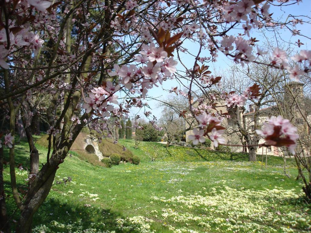 Апартаменты Les Communs Du Manoir Экюли Экстерьер фото
