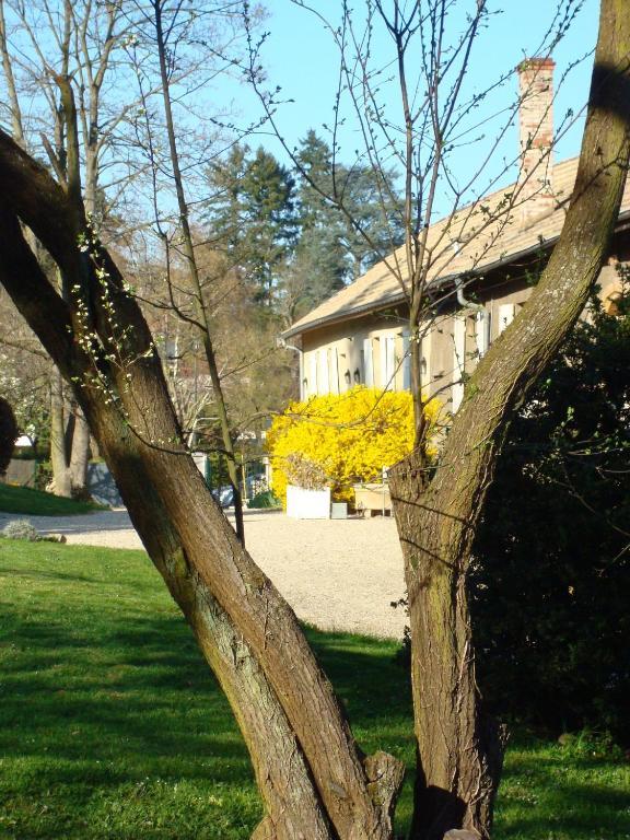 Апартаменты Les Communs Du Manoir Экюли Экстерьер фото